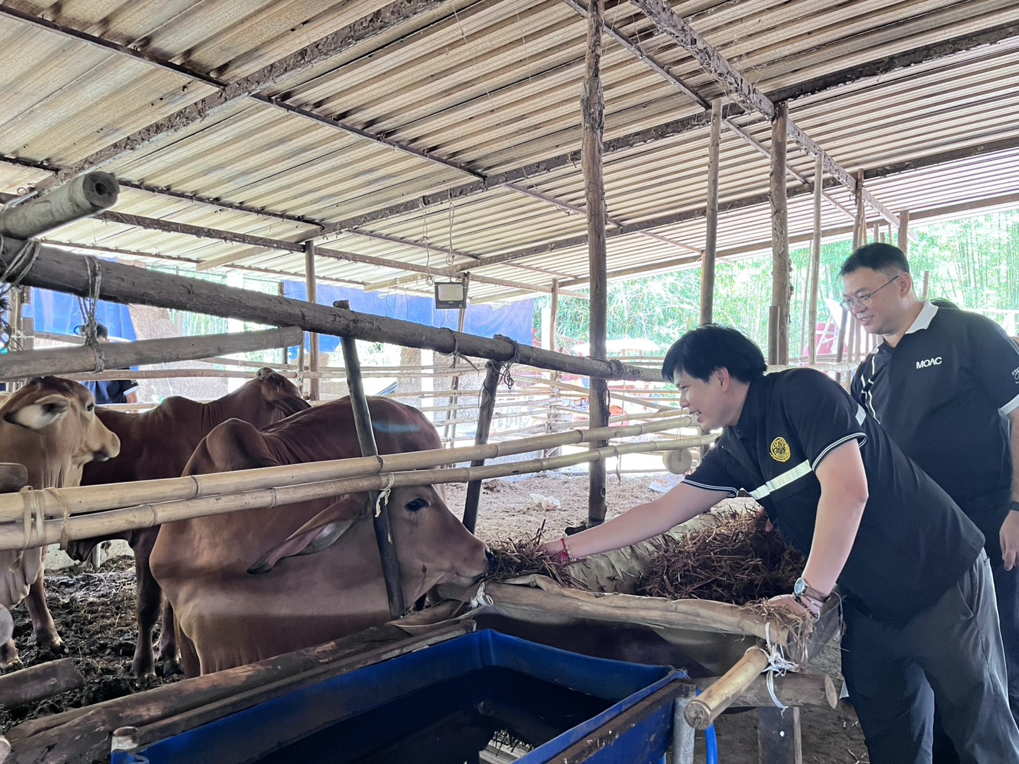 title - วันอังคารที่ 31 มีนาคม 2569 นายวิทูล ประดิษฐบุญ ปฏิรูปที่ดินจัังหวัดปราจีนบุรี พร้อมด้วย เจ้าหน้าที่ ส.ป.ก.ปราจีนบุรี เข้าร่วม กิจกรรมเปิดโครงการ Kick off การใช้ประโยชน์ จากฟางข้าวตาม 